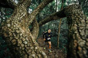 BIB: 
                            <button type="button" onclick="openModal(25393349)" class="btn btn-primary btn-sm float-right btn-popup" data-toggle="modal" data-target=".modal-high-quality">
                        <i class="fas fa-shopping-cart"></i> Add to Cart
                    </button>
                                            <button type="button" onclick="isThisMe(25393349, true)" class="btn btn-success btn-sm float-right btn-popup btn-isme hidden" data-toggle="tooltip" data-placement="bottom" title="นี่คือรูปของคุณใช่ไหม คลิกที่นี่เพื่อเอาเข้าอัลบั้ม">
                        <i class="fas fa-plus"></i> Add to album
                    </button>
                    <button type="button" onclick="isThisMe(25393349, false)" class="btn btn-warning btn-sm float-right btn-popup btn-isnotme hidden">
                        <i class="fas fa-ban"></i> Remove from album
                    </button>